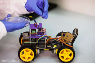 Cercetătorii israelieni i-au montat antene de lăcustă - Un robot adulmecător
