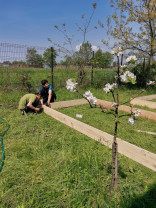Un nou proiect Ecotop Oradea pentru copii și tineri - Despre permacultură la Săcueni