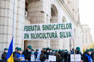 Protest față de tentativa de „privatizare” a pădurilor din România - Silvicultorii ies în stradă