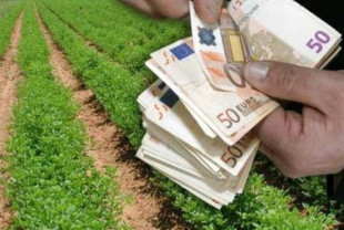 APIA. Subvenții 2022 - Schemele care intră în conturile fermierilor