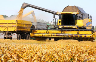 MADR. Taxarea inversă la cereale - Termen prelungit până la 31 decembrie 2026