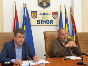 Focar de febră aftoasă la graniţa de vest - Măsuri luate în Bihor 