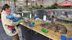 Beiuș. Expoziția de păsări și animale mici - A ajuns la cea de-a șasea ediție