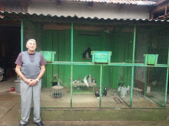 Kalman Ludovic a creat rasa de porumbei Guleratul de Bihor - Ambiţie şi pasiune