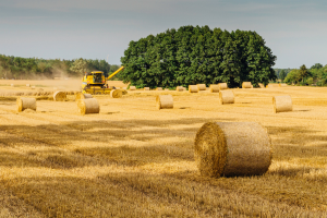 Demers concret pentru siguranța agriculturii românești - Viitorul agriculturii, în pericol