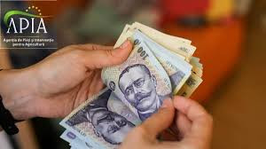 Pentru crescătorii de animale, sprijin financiar de peste 2,5 milioane lei