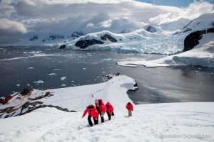 Croaziera afectată de hantavirus, parte din boom-ul turistic în Antarctica - Se impun reguli stricte