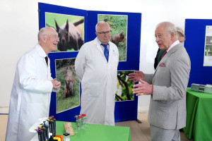 Regele Charles al III-lea a înfruntat valul de căldură pentru a susține „o cauză britanică” - Cavalerul veveriței roșii