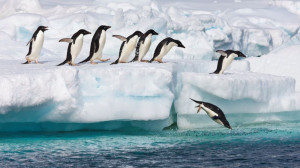 Masa de gheață antarctică a crescut pentru prima oară după ultimele decenii - Urmează un mare îngheț?!