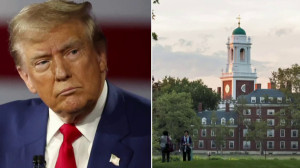 Studenții străini de la Harvard caută soluții  - Administrația Trump le-a revocat înscrierea