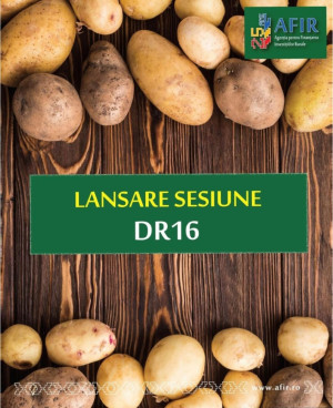 Sprijin nerambursabil de 65% din totalul costurilor eligibile ale proiectului - Bani europeni pentru legumicultori