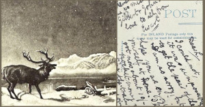 O carte poștală din 1903 a ajuns la destinaţie - Familie reunită după 121 de ani