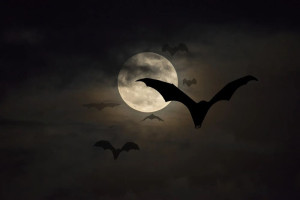 În Serbia, satul Kisiljevo vrea să fure vampirii Transilvaniei - Leagănul monștrilor sângeroși