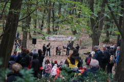 Duminică, 2 octombrie - „Cântă pădurea” în Valea Crișurilor