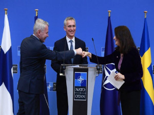 După Finlanda, şi Suedia va depune cerere pentru aderarea la NATO - Zidul din faţa Rusiei